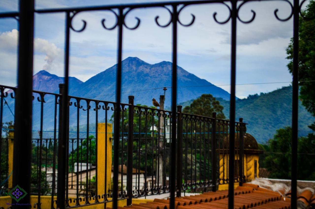 Maison Bougainvillea Antigua Exterior foto